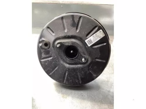 Rembekrachtiger-8116390