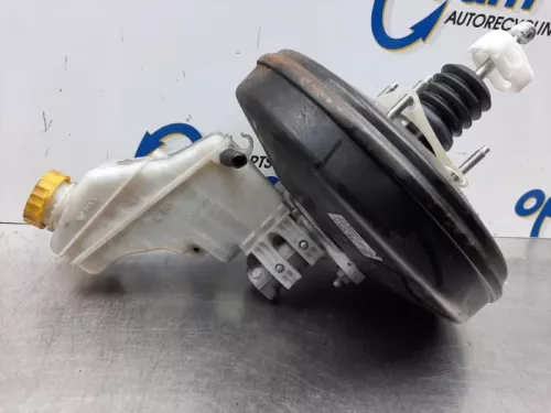 Rembekrachtiger-7876828