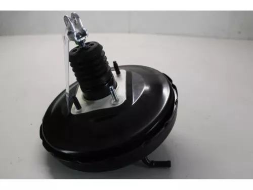 Rembekrachtiger-7877998