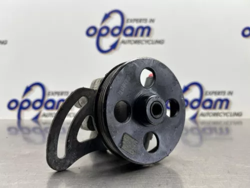 Stuurbekrachtiging Pomp-8300918