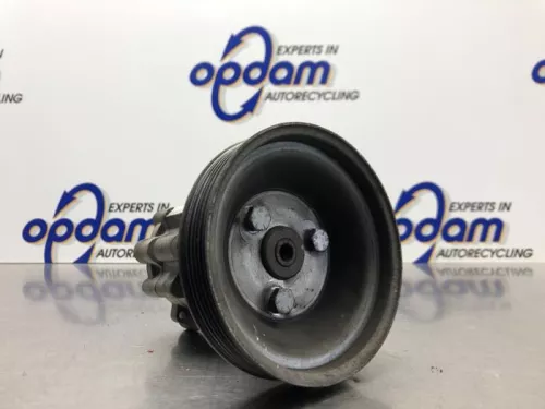 Stuurbekrachtiging Pomp-8249431