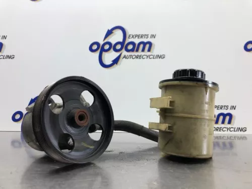 Stuurbekrachtiging Pomp-8187316