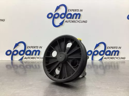 Stuurbekrachtiging Pomp-7987351