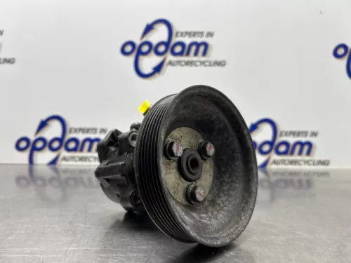 Stuurbekrachtiging Pomp-8269838