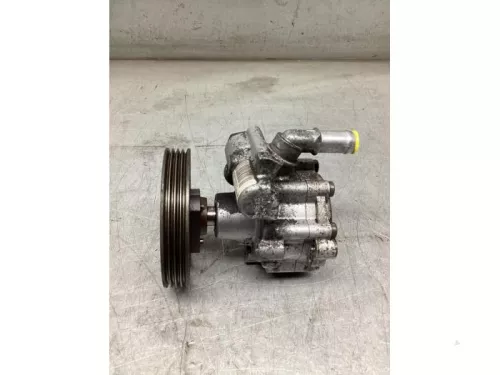 Stuurbekrachtiging Pomp-8177021