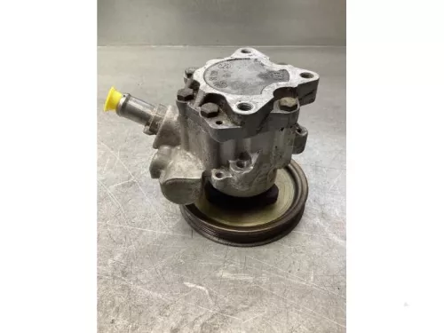 Stuurbekrachtiging Pomp-7930264