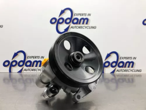 Stuurbekrachtiging Pomp-