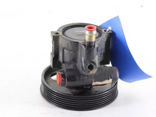 Stuurbekrachtiging Pomp-7889582