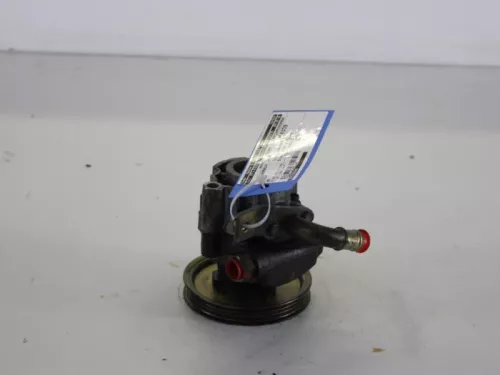 Stuurbekrachtiging Pomp-7890542