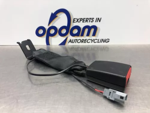 Veiligheidsgordel Insteek links-achter-8029062