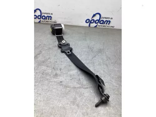 Veiligheidsgordel links-achter-8241237