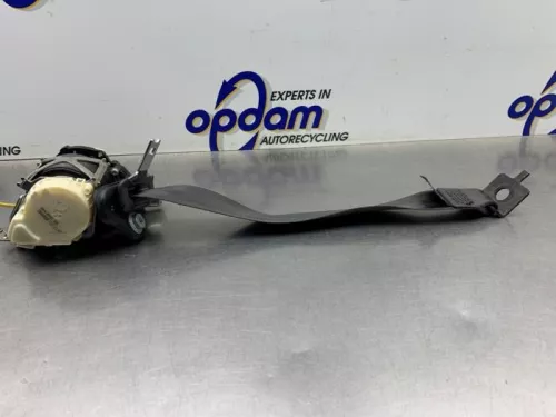 Veiligheidsgordel links-achter-8250229