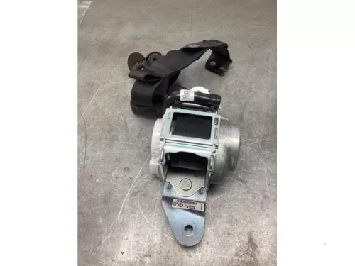 Veiligheidsgordel links-achter-8174124