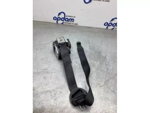 Veiligheidsgordel links-voor-8300843