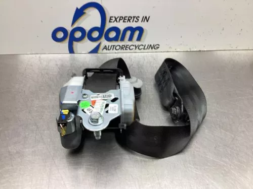 Veiligheidsgordel links-voor-7938947