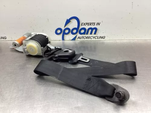 Veiligheidsgordel links-voor-8127807