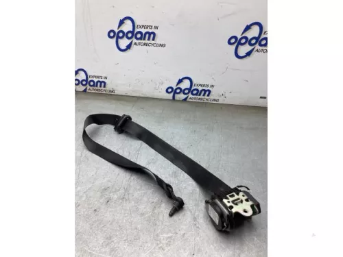 Veiligheidsgordel links-voor-8246733