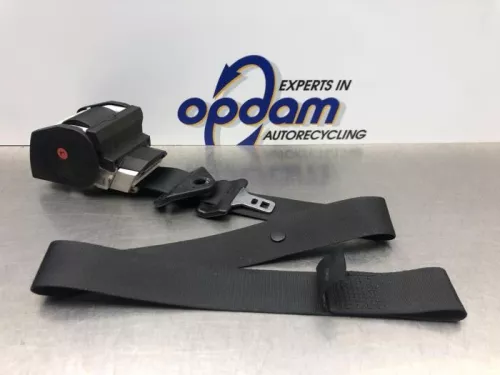 Veiligheidsgordel links-voor-8188988