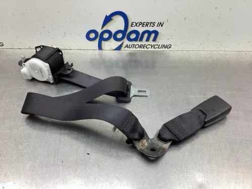 Veiligheidsgordel midden-achter-8076464