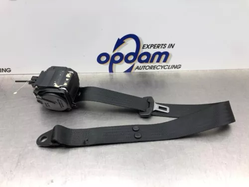 Veiligheidsgordel midden-achter-8242847