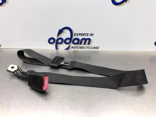 Veiligheidsgordel midden-achter-8196845