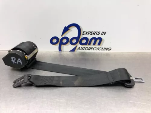 Veiligheidsgordel rechts-achter-8263978