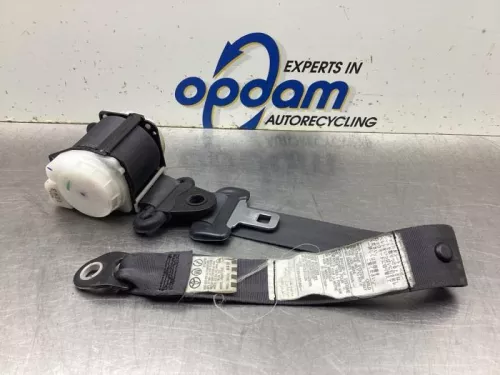 Veiligheidsgordel rechts-achter-8118027