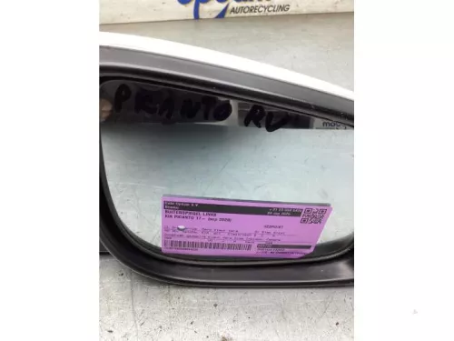 Buitenspiegel links-8330366