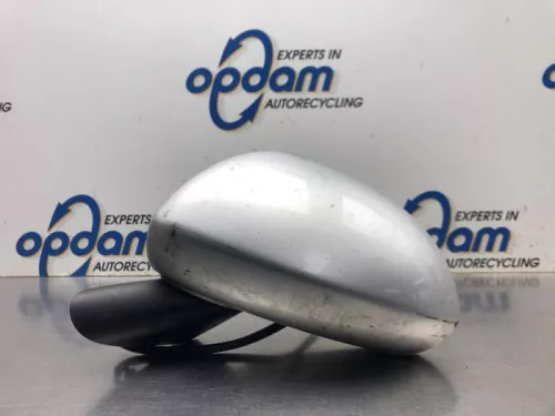 Buitenspiegel links-8144999