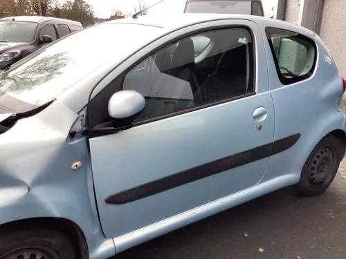 Portier 2Deurs links-8404068