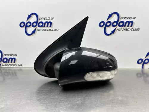 Buitenspiegel links-8321694