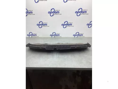 Bumperframe voor-8101951