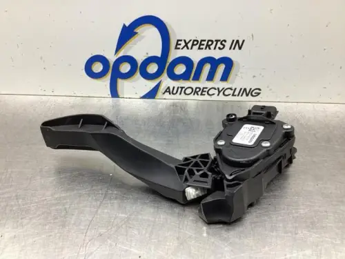 Gaspedaalpositie Sensor-7520018