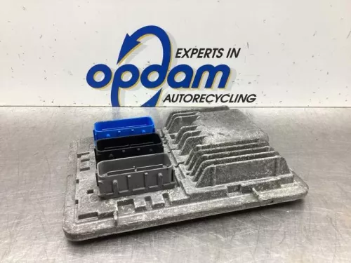 Computer Motormanagement-8029827