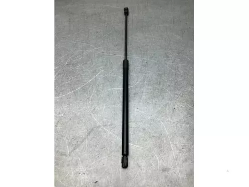 Gasdemper Motorkap links-3646767