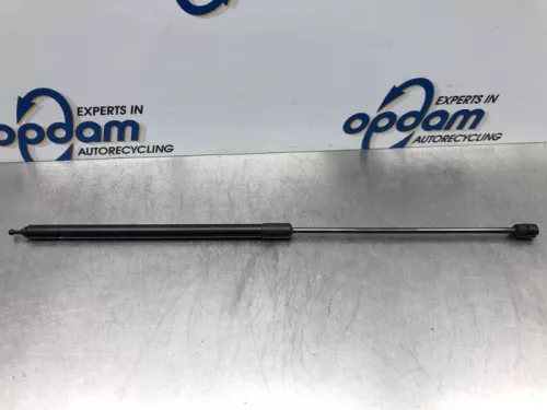 Gasdemper Motorkap links-7324506