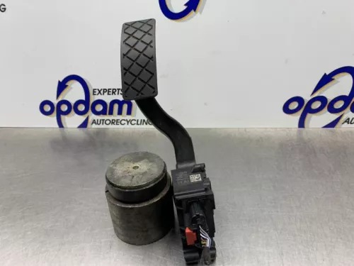 Gaspedaal-8250005