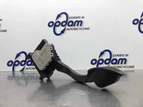 Gaspedaal-8109027