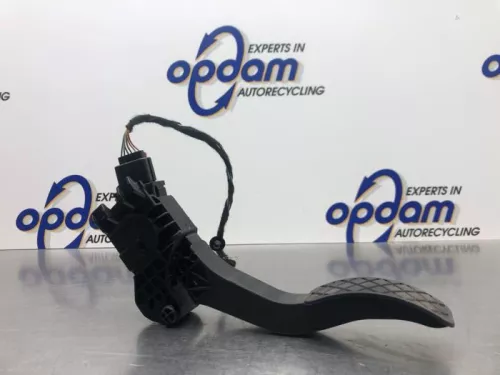 Gaspedaal-8097421