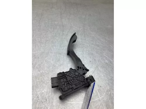 Gaspedaalpositie Sensor-8241374