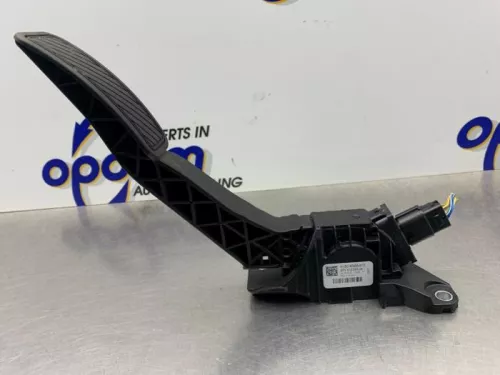 Gaspedaalpositie Sensor-8172399