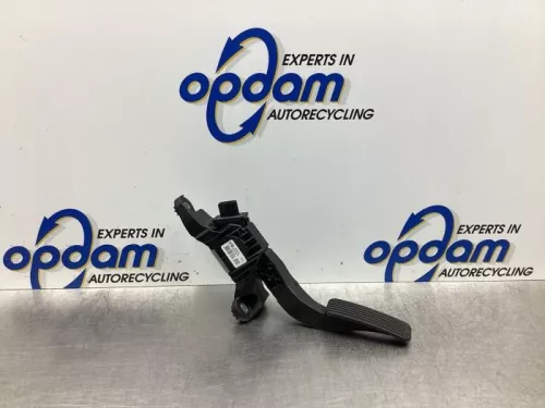 Gaspedaalpositie Sensor-7868353