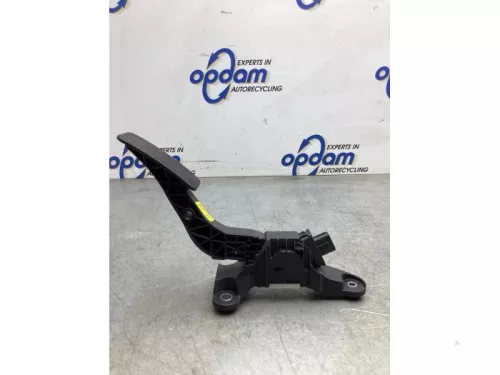 Gaspedaalpositie Sensor-8052644