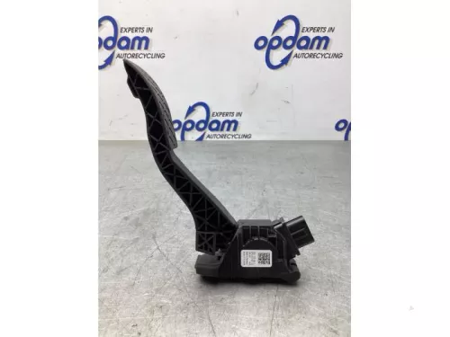 Gaspedaalpositie Sensor-7979992