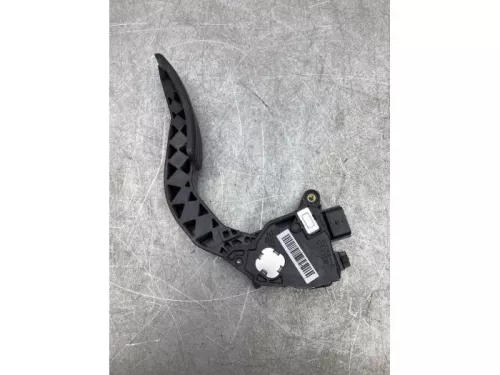 Gaspedaalpositie Sensor-7921008