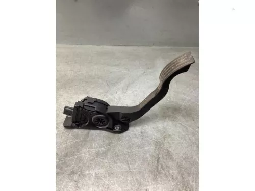 Gaspedaalpositie Sensor-8146356