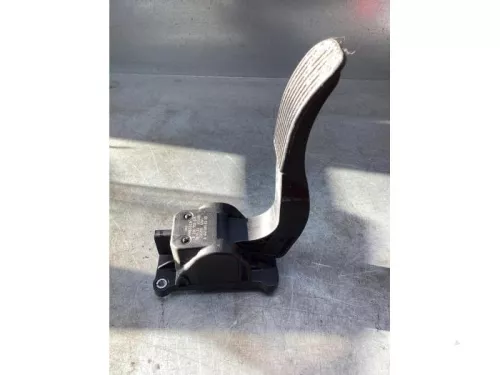 Gaspedaalpositie Sensor-8114858