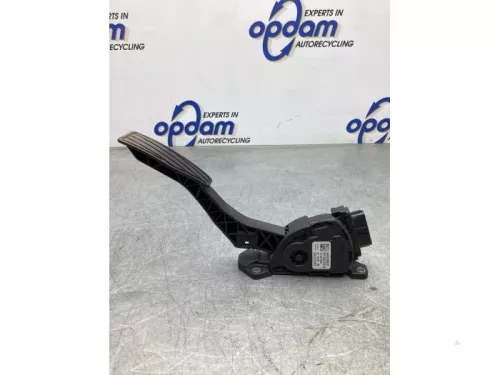 Gaspedaalpositie Sensor-8038200