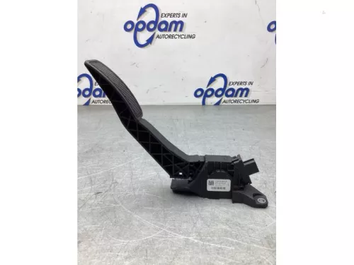 Gaspedaalpositie Sensor-8110718