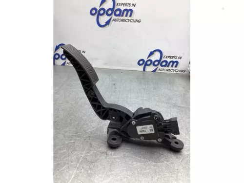 Gaspedaalpositie Sensor-8055054